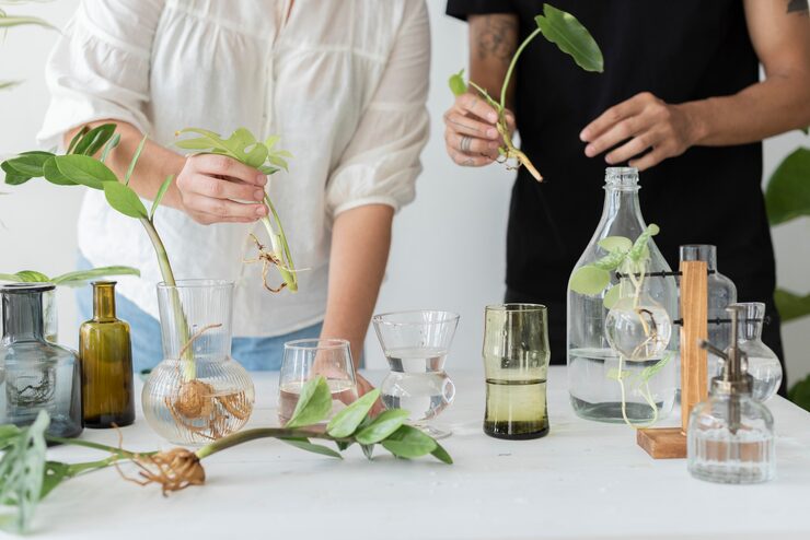 Naturopathic consultation